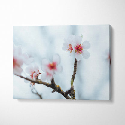 Stunning Cherry Blossom Floral Digital Wall Art Canvas Print For Home Decor