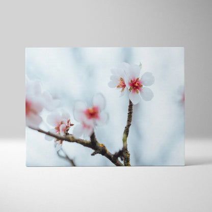 Stunning Cherry Blossom Floral Digital Wall Art Canvas Print For Home Decor