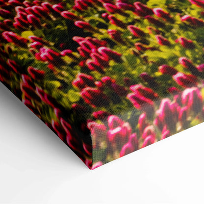 Vibrant Gymnadenia field with wildflowers and greenery on textured canvas wall art decor.