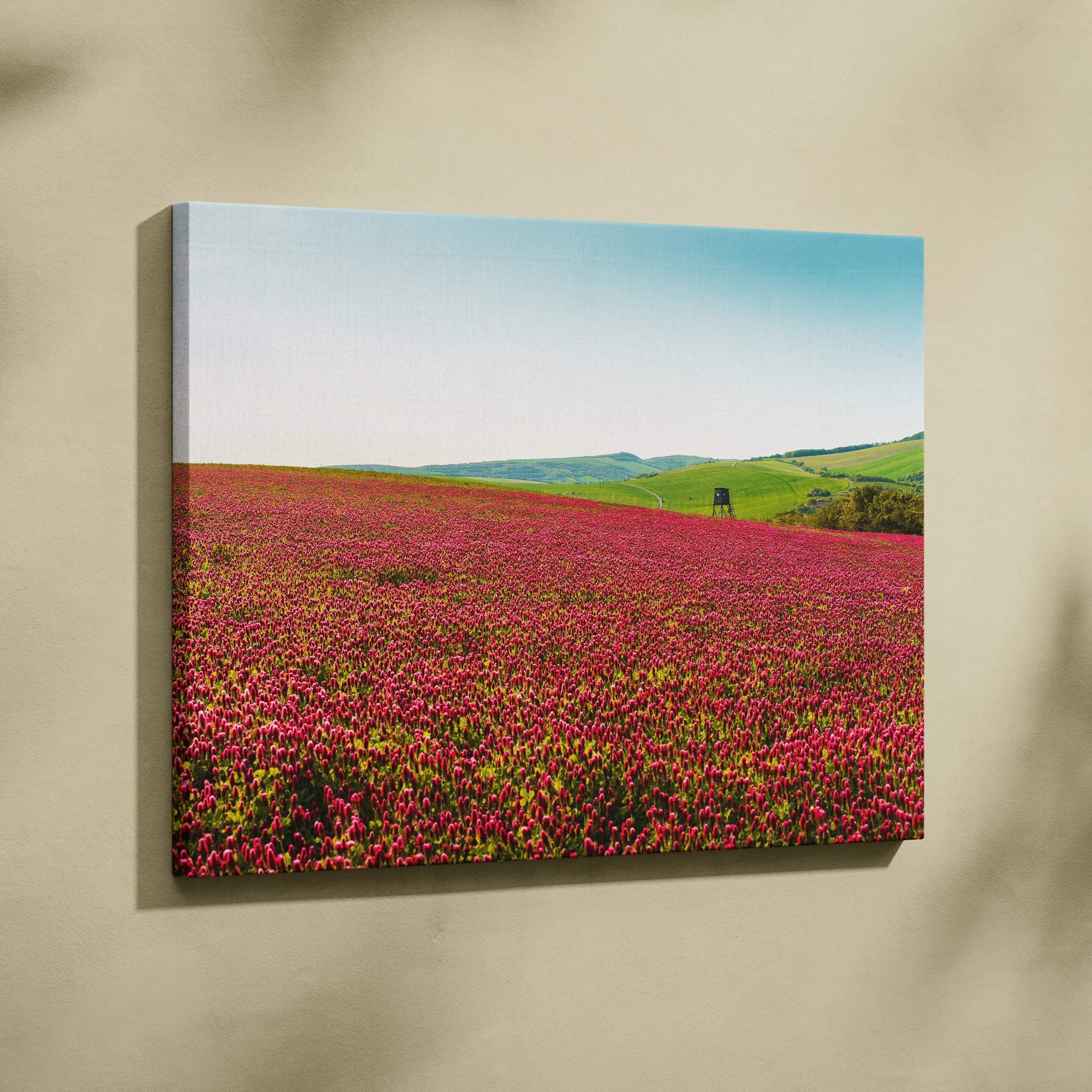 Vibrant gymnadenia field with wildflowers and greenery on horizontal canvas wall art decor.