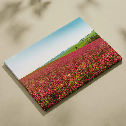 Canvas wall art featuring a vibrant gymnadenia field with wildflowers and greenery under a clear blue sky.