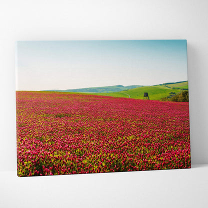 Vibrant Gymnadenia floral field canvas wall art with wildflowers and lush greenery decor.