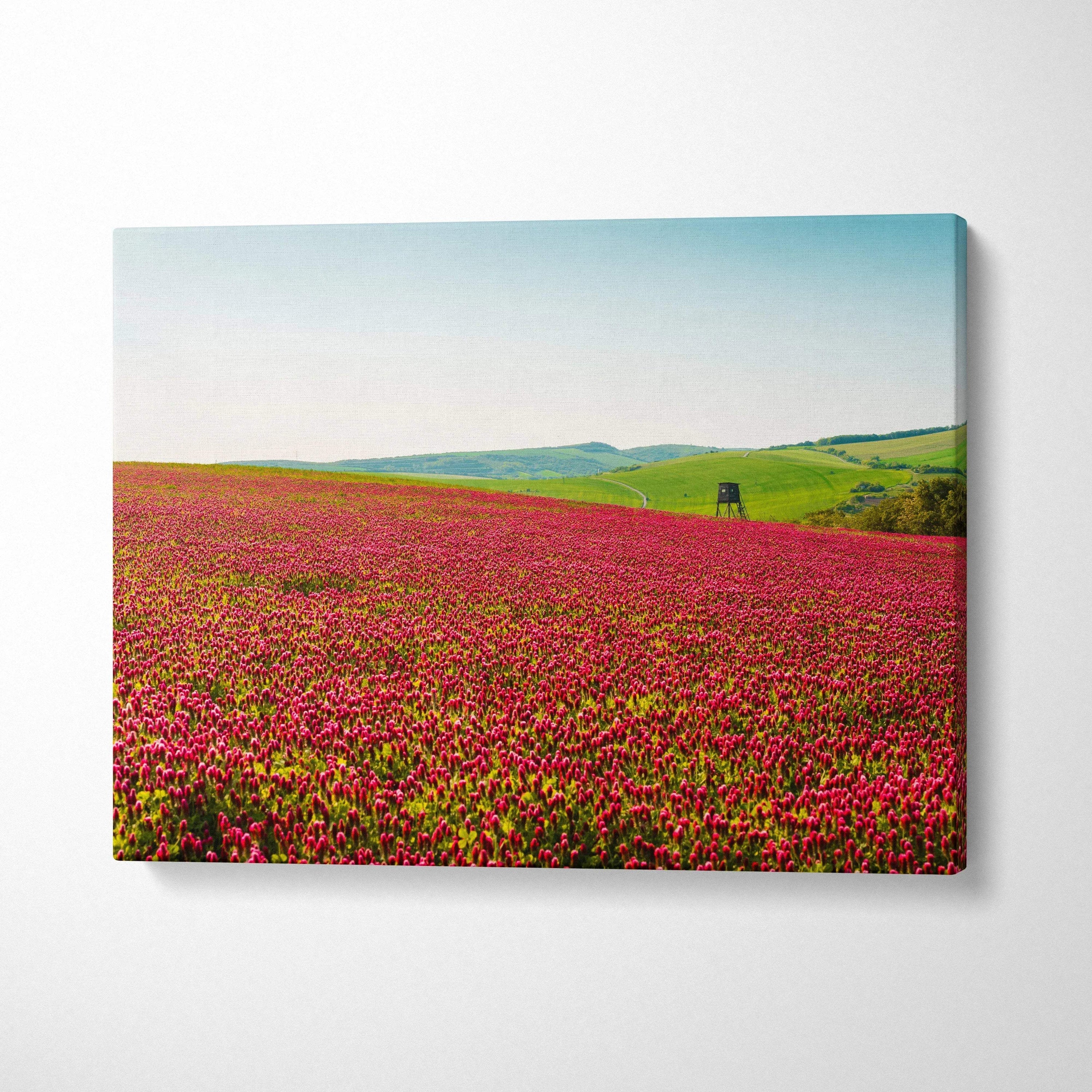 Vibrant red Gymnadenia wildflower field with distant green hills on canvas wall art decor.
