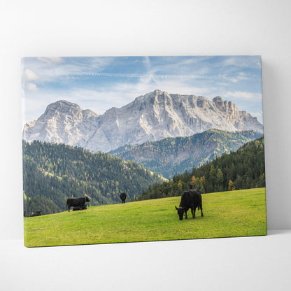 Canvas print of cows grazing in Dolomites mountain landscape meadow