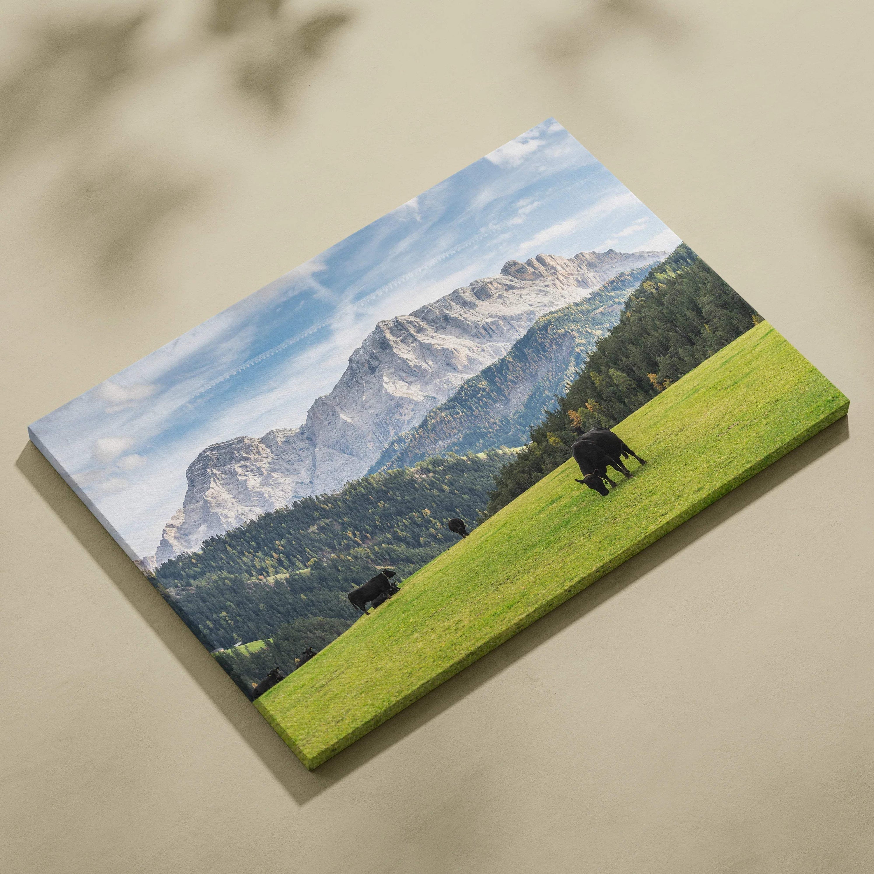 Canvas print of cows grazing in Dolomites mountain landscape meadow