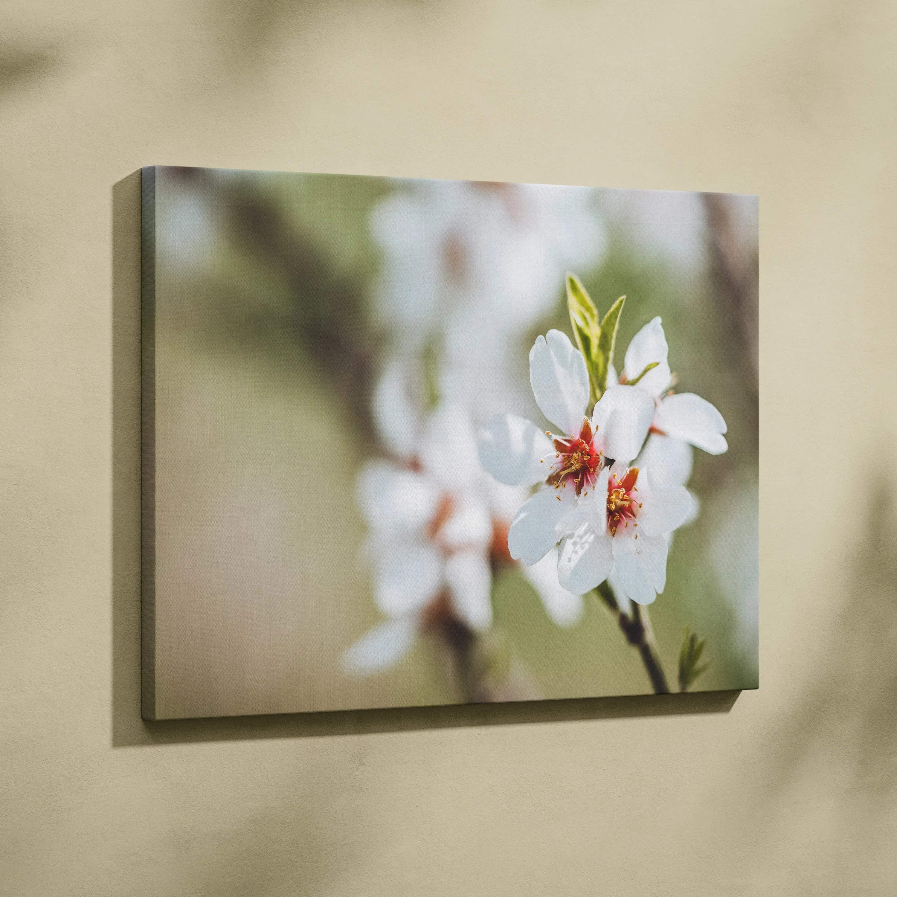 Cherry blossom close-up on canvas wall art with soft focus floral decor, museum quality print.