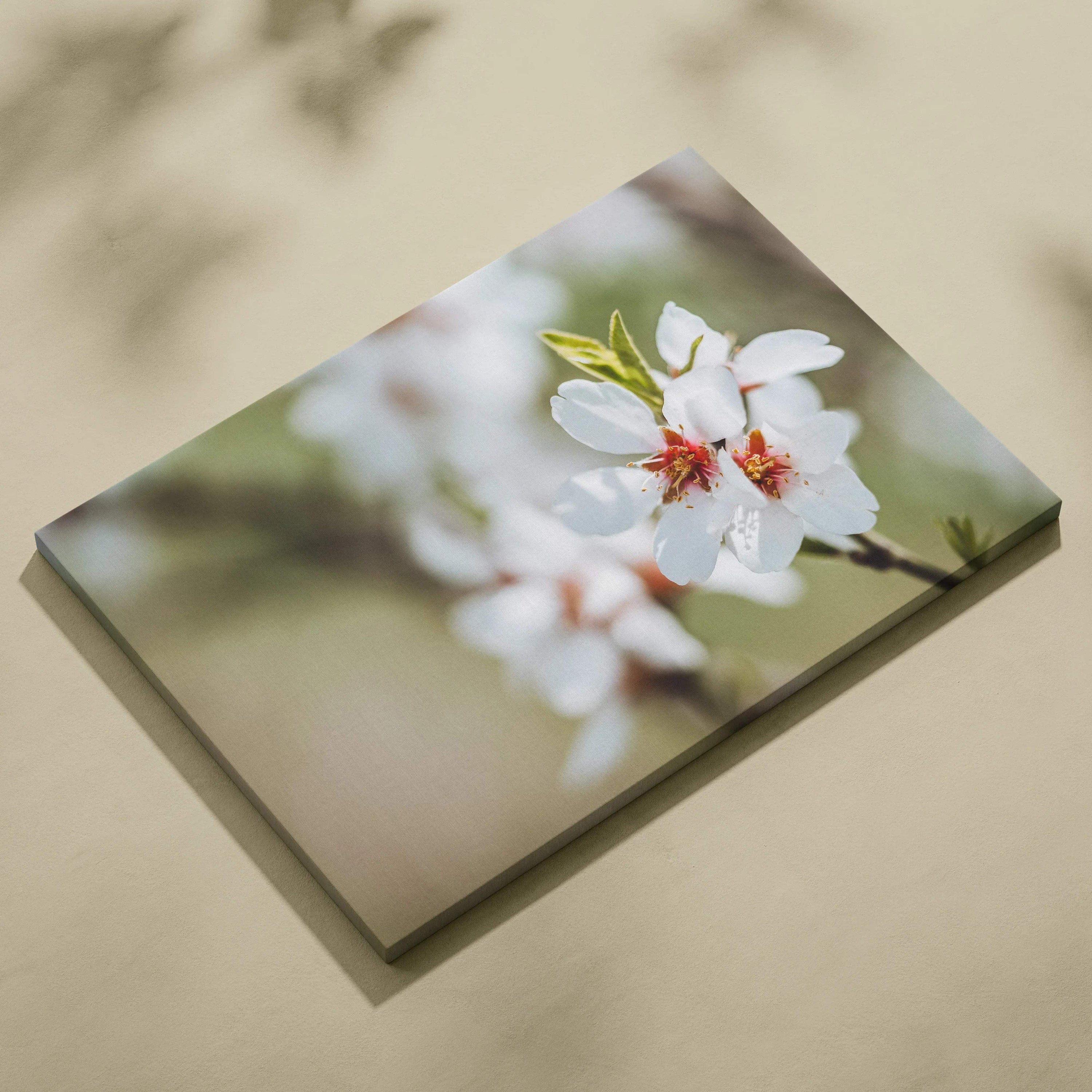 Cherry blossom flower close-up canvas wall art with soft blurred background decor.