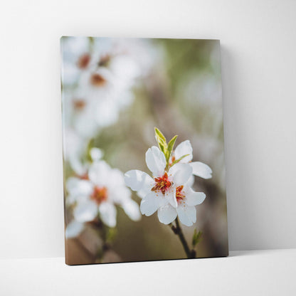 White almond blossoms canvas wall art with orange centers, soft pastel decor