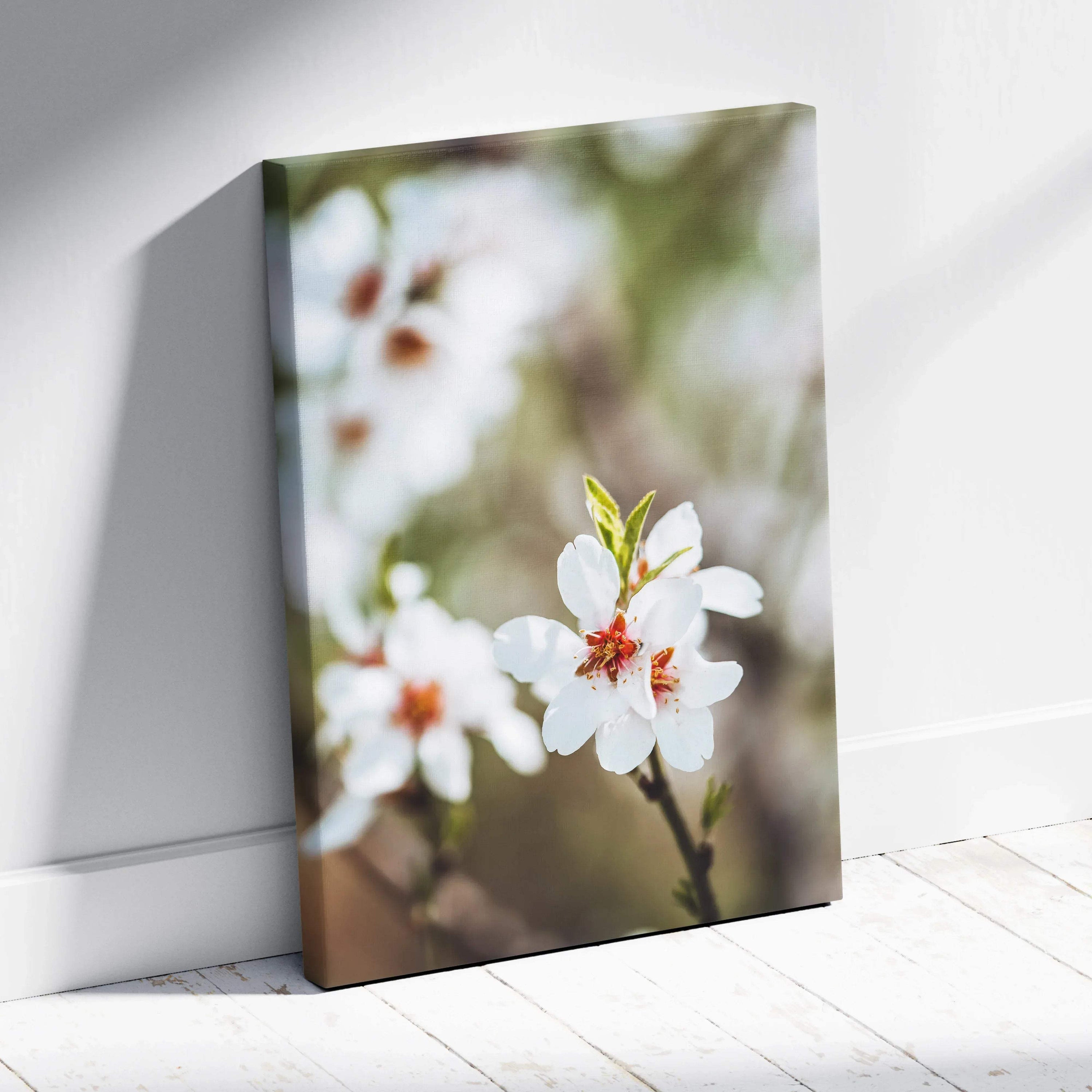 Framed canvas wall art of white almond tree blossoms in soft pastel mood