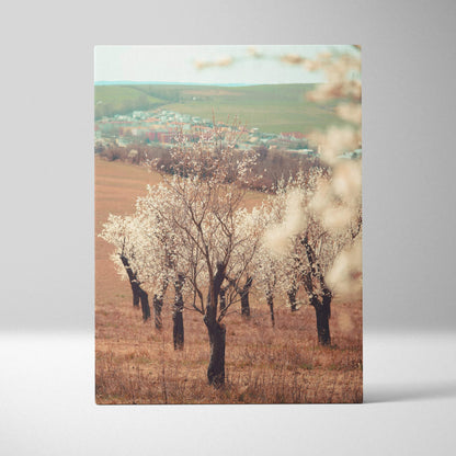 Canvas wall art of serene soft focus spring landscape with white almond tree flowers