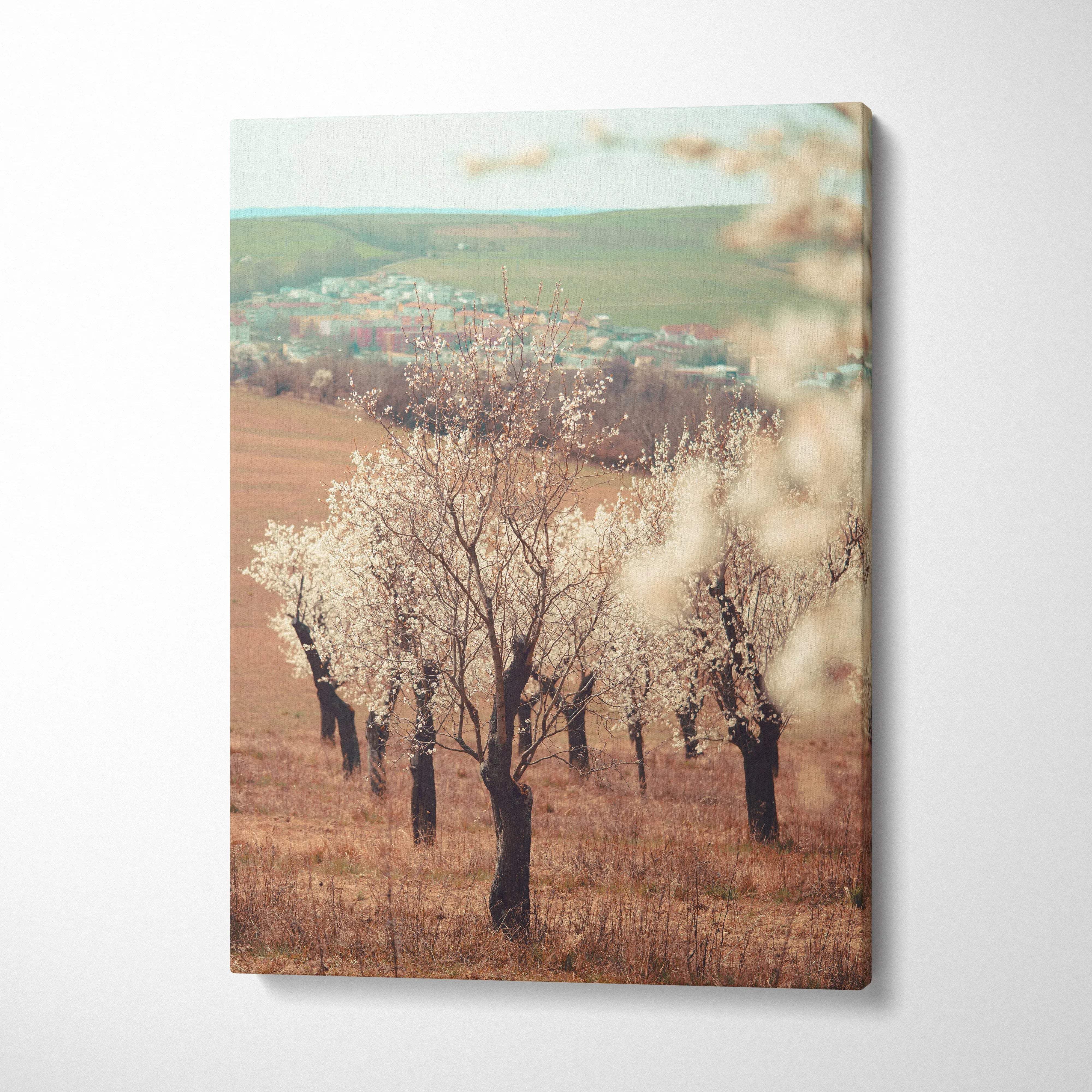 Canvas wall art of serene spring landscape with soft focus white almond tree flowers