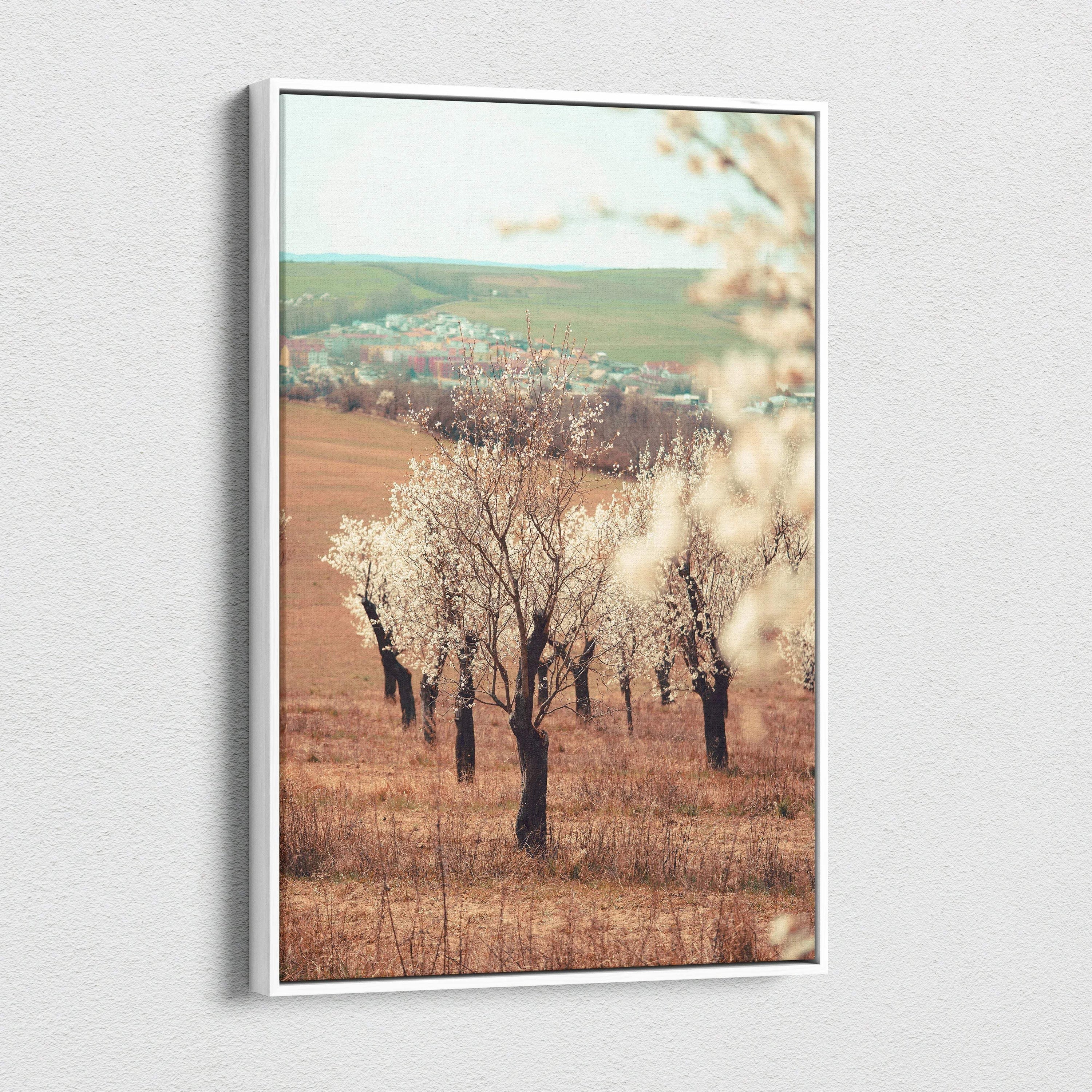 White-framed canvas print of serene soft focus spring landscape with almond tree flowers and hills