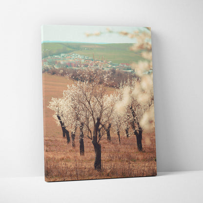 Canvas wall art of serene soft focus spring landscape with white almond tree flowers