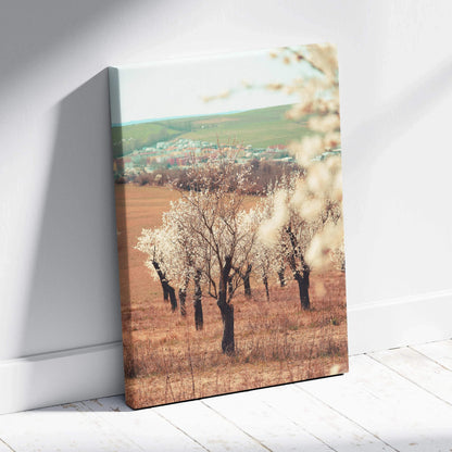 Canvas wall art of serene soft focus spring landscape with white almond tree flowers