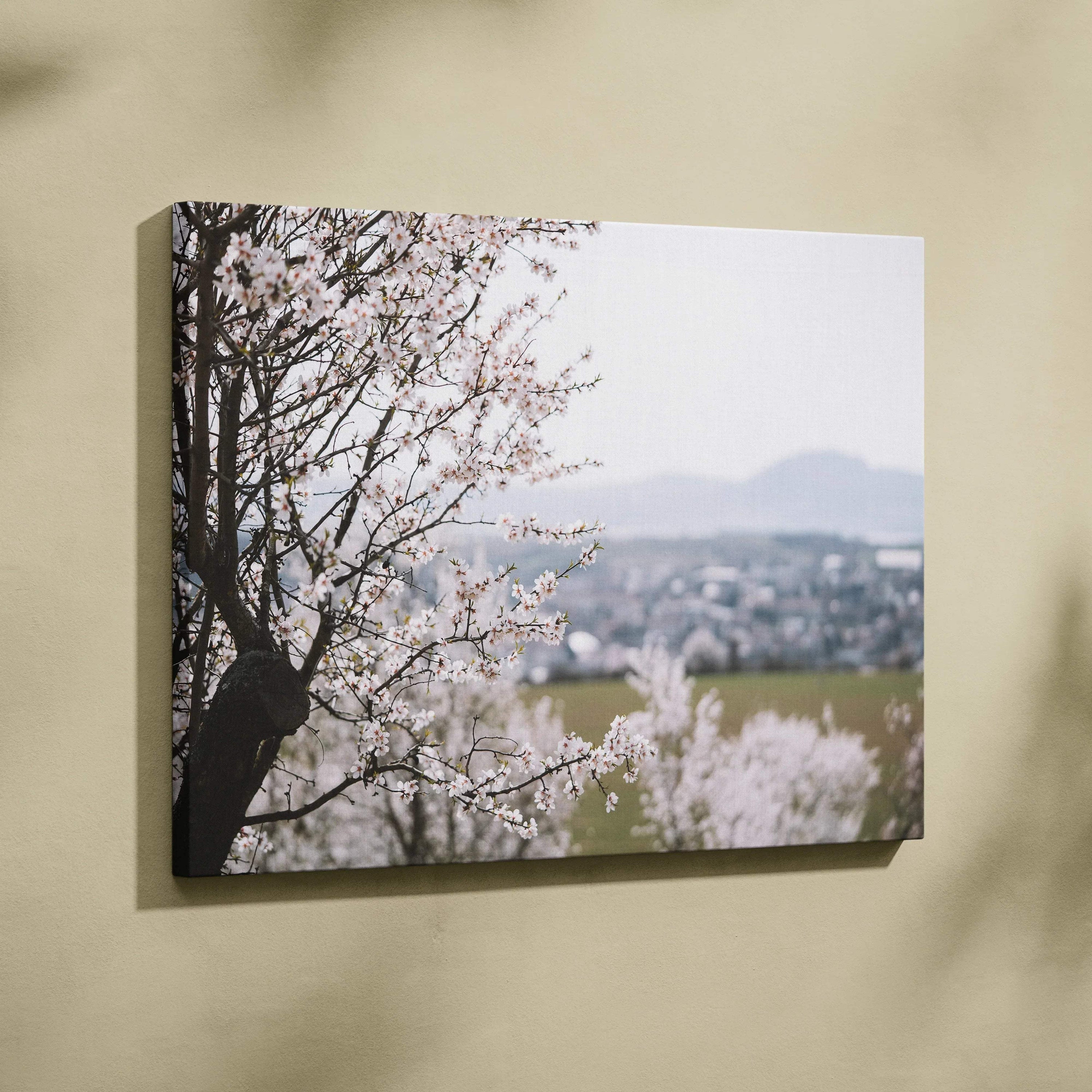 Cherry blossom tree with soft pink flowers on high-resolution canvas wall art decor.
