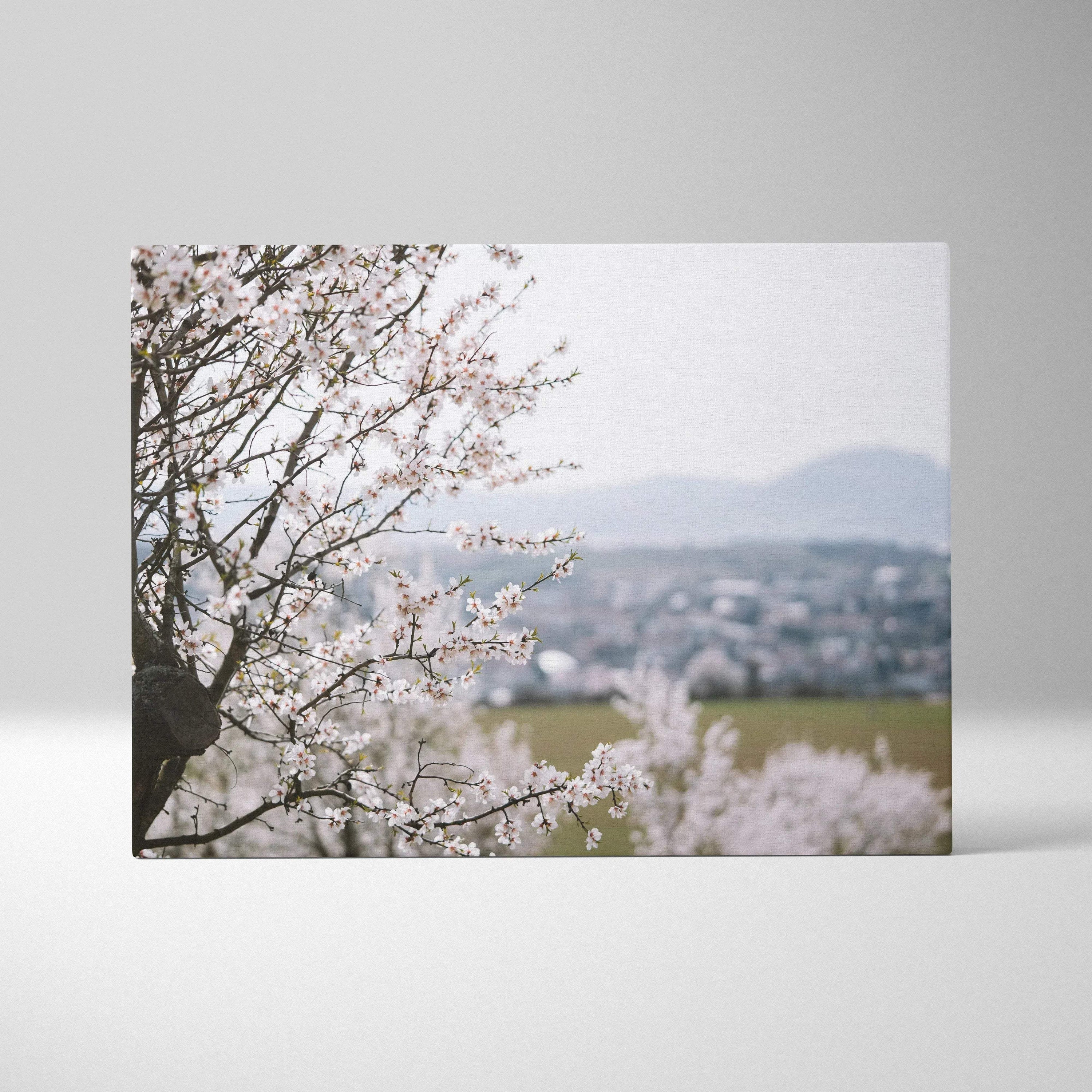 Cherry blossom floral canvas wall art with soft pastel tones, museum-quality decor.