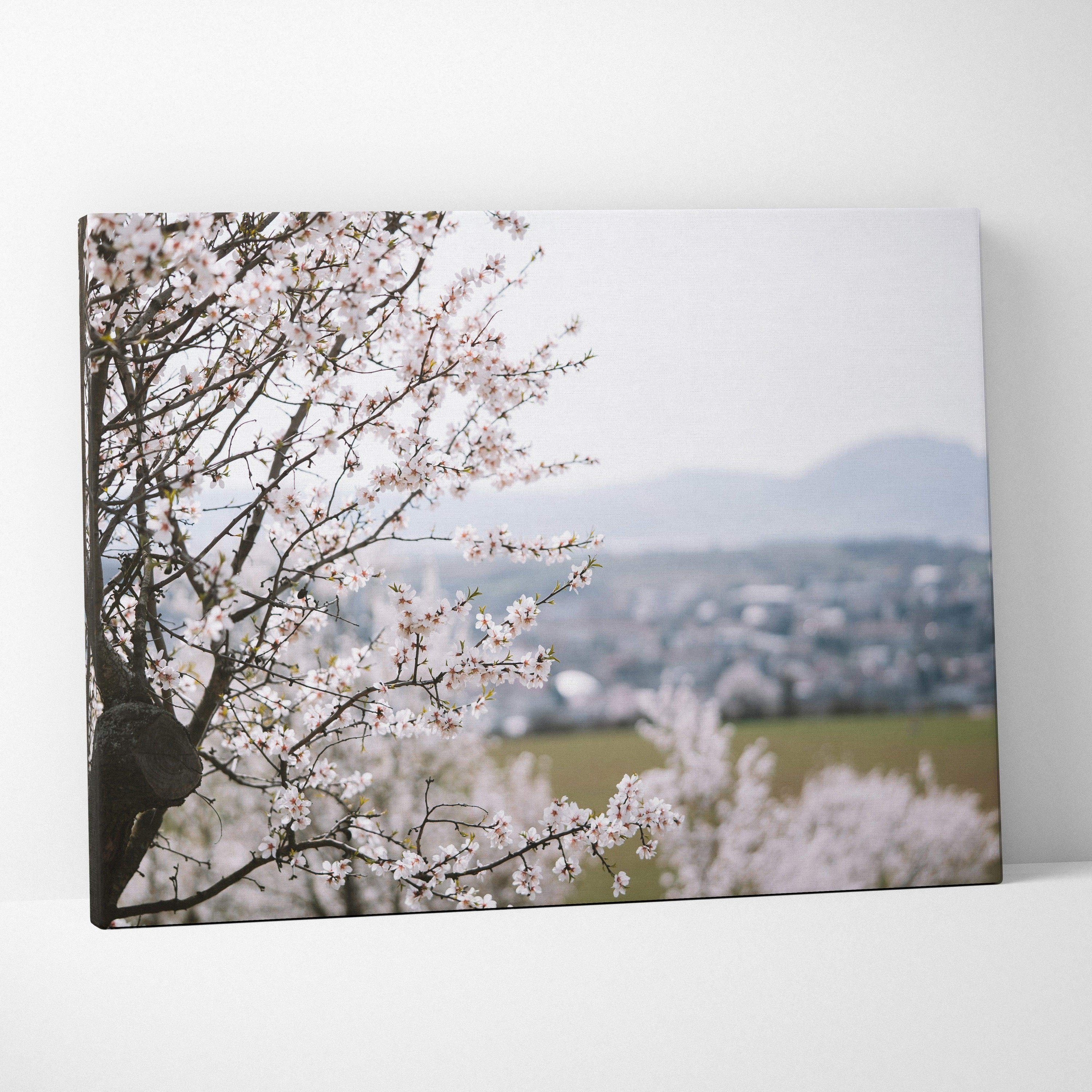 Cherry blossom canvas wall art with soft pink flowers and blurred town background, floral decor.