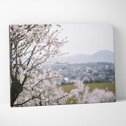 Cherry blossom canvas wall art with soft pink flowers and blurred town background, floral decor.