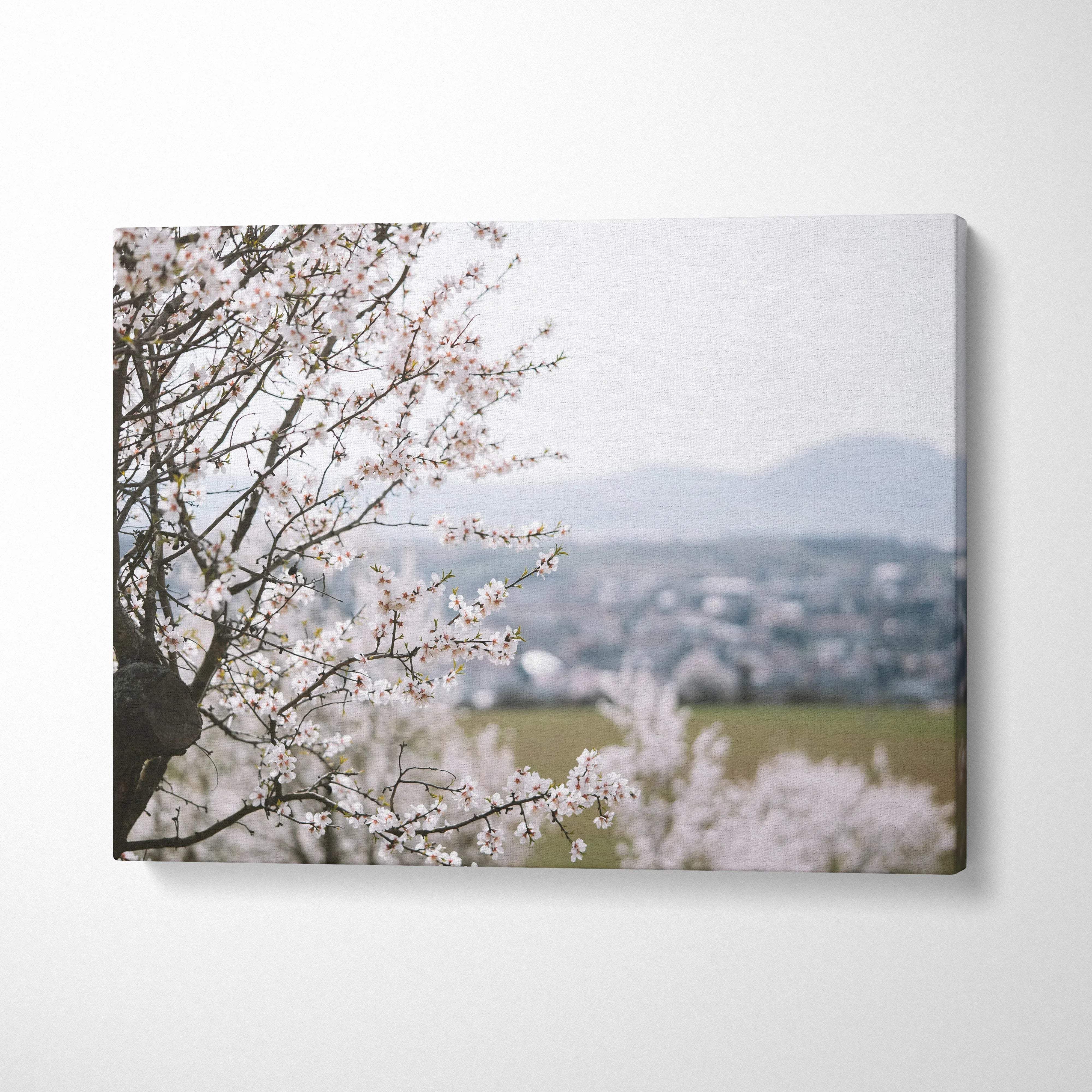 Cherry blossom canvas wall art with soft pink flowers and blurred cityscape background, floral decor.