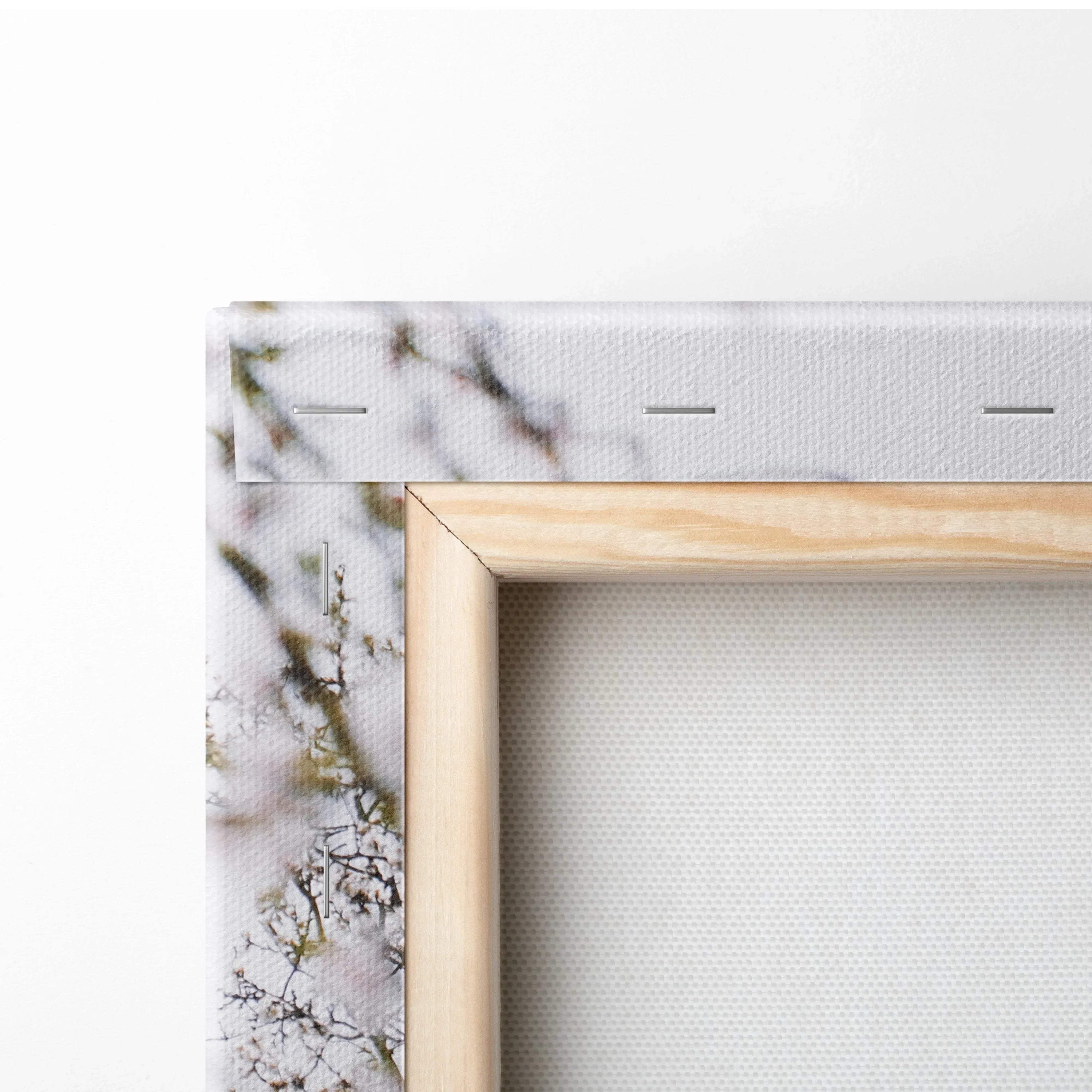 Light wood-framed canvas print of romantic white almond tree blossoms