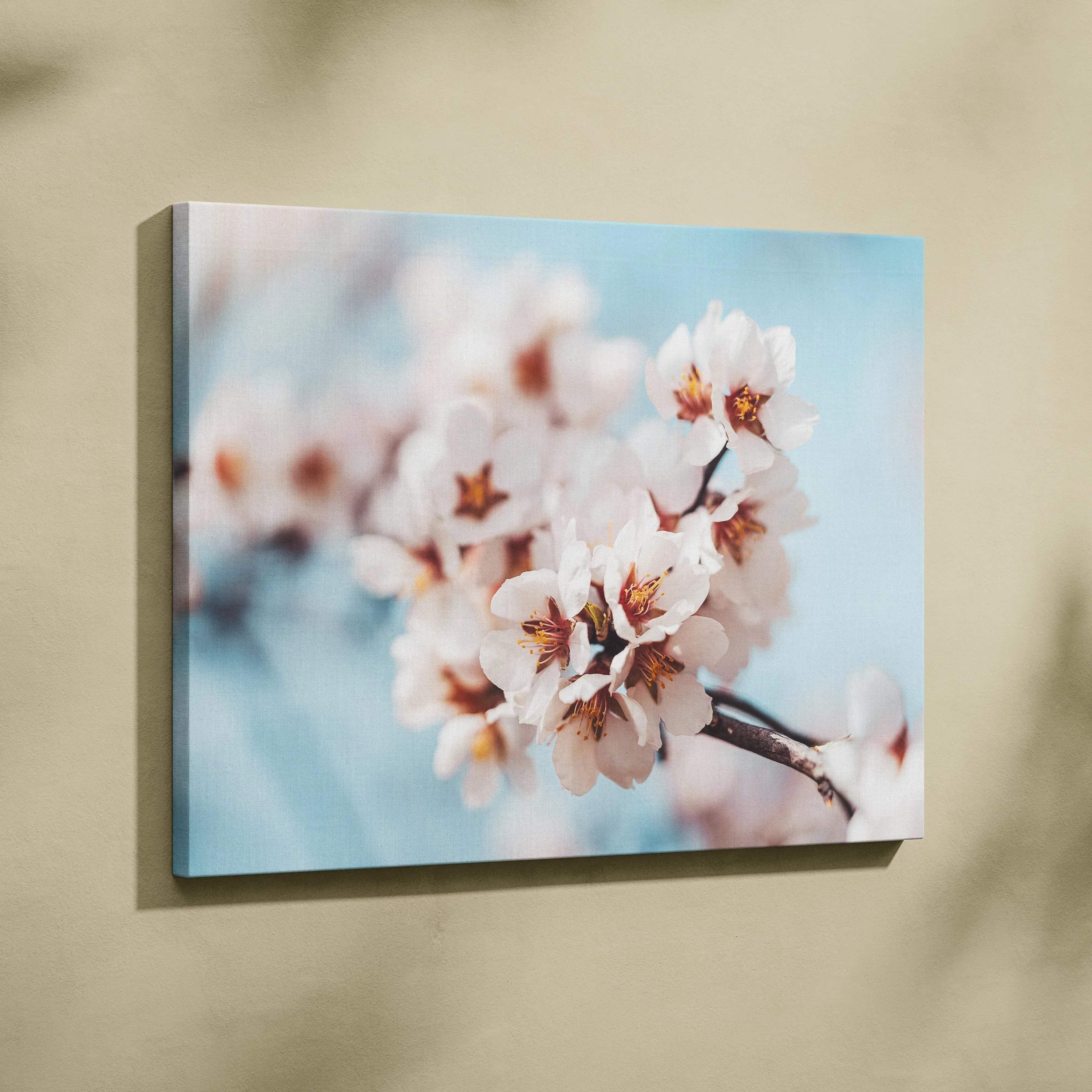 White flower floral canvas wall art with soft blue background, elegant home decor piece.