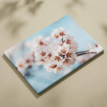 White flower floral canvas wall art with soft blue sky background for home decor.