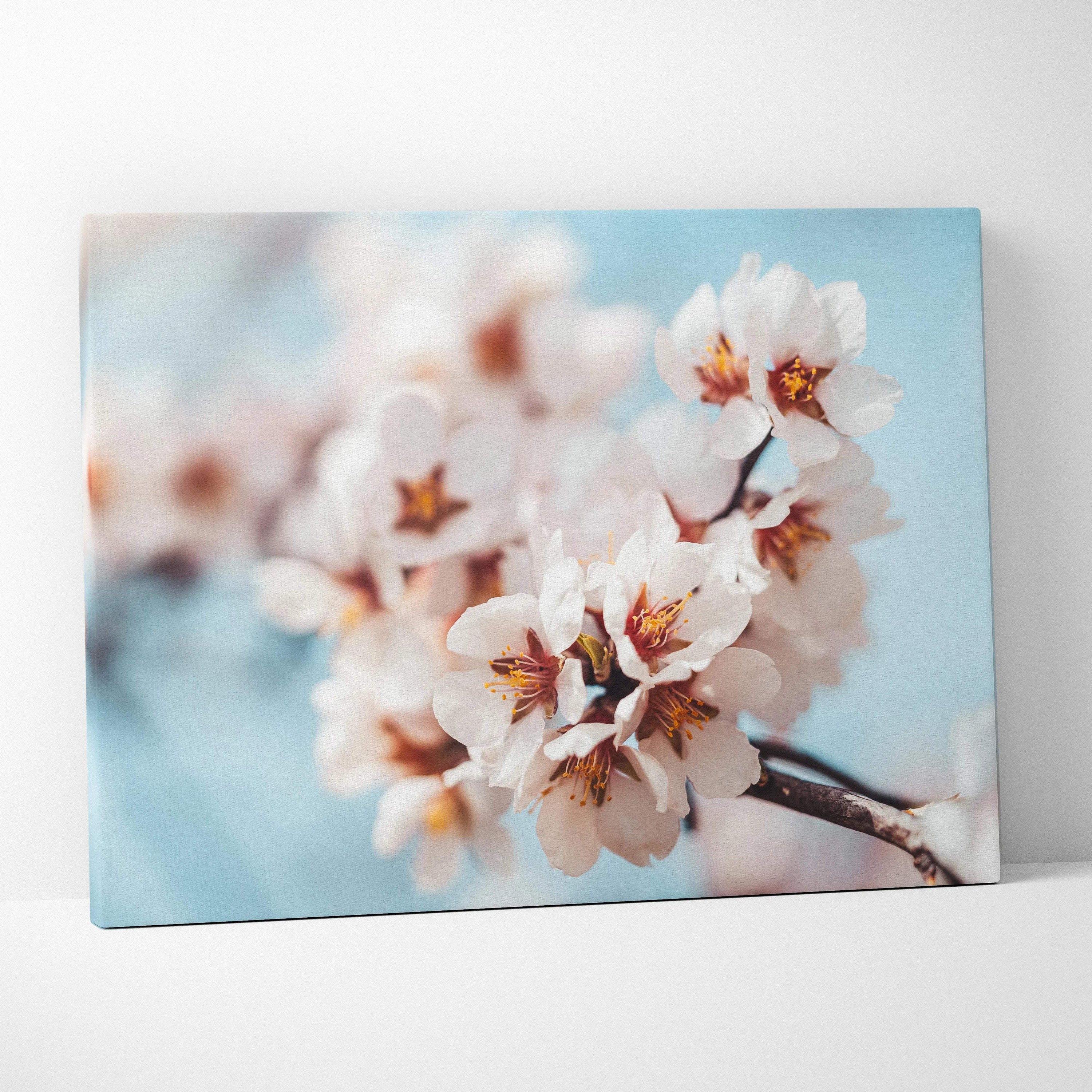 White flower close-up floral canvas wall art with soft blue background, home decor canvas art.