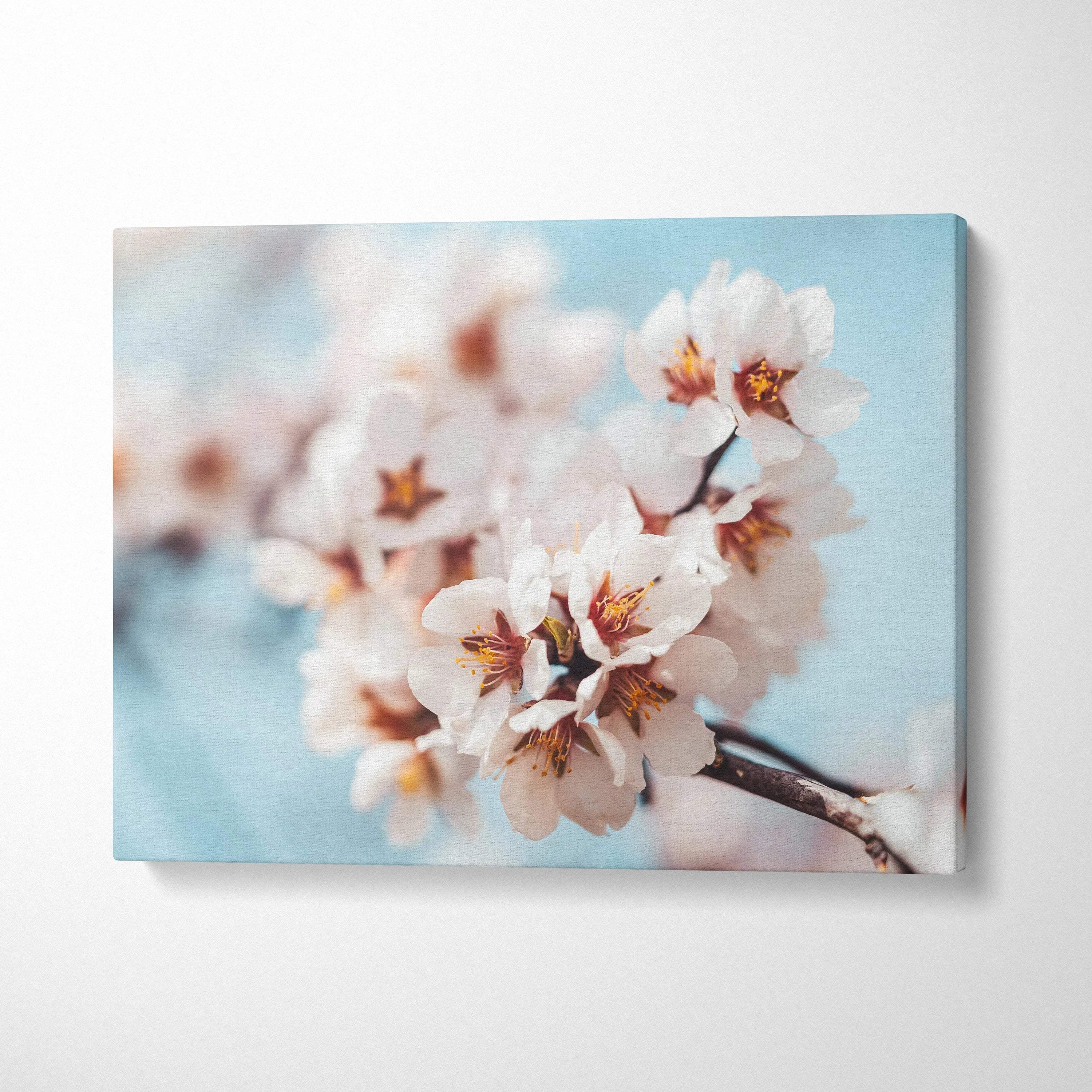 Canvas wall art featuring delicate white flowers with soft blue background for home decor.