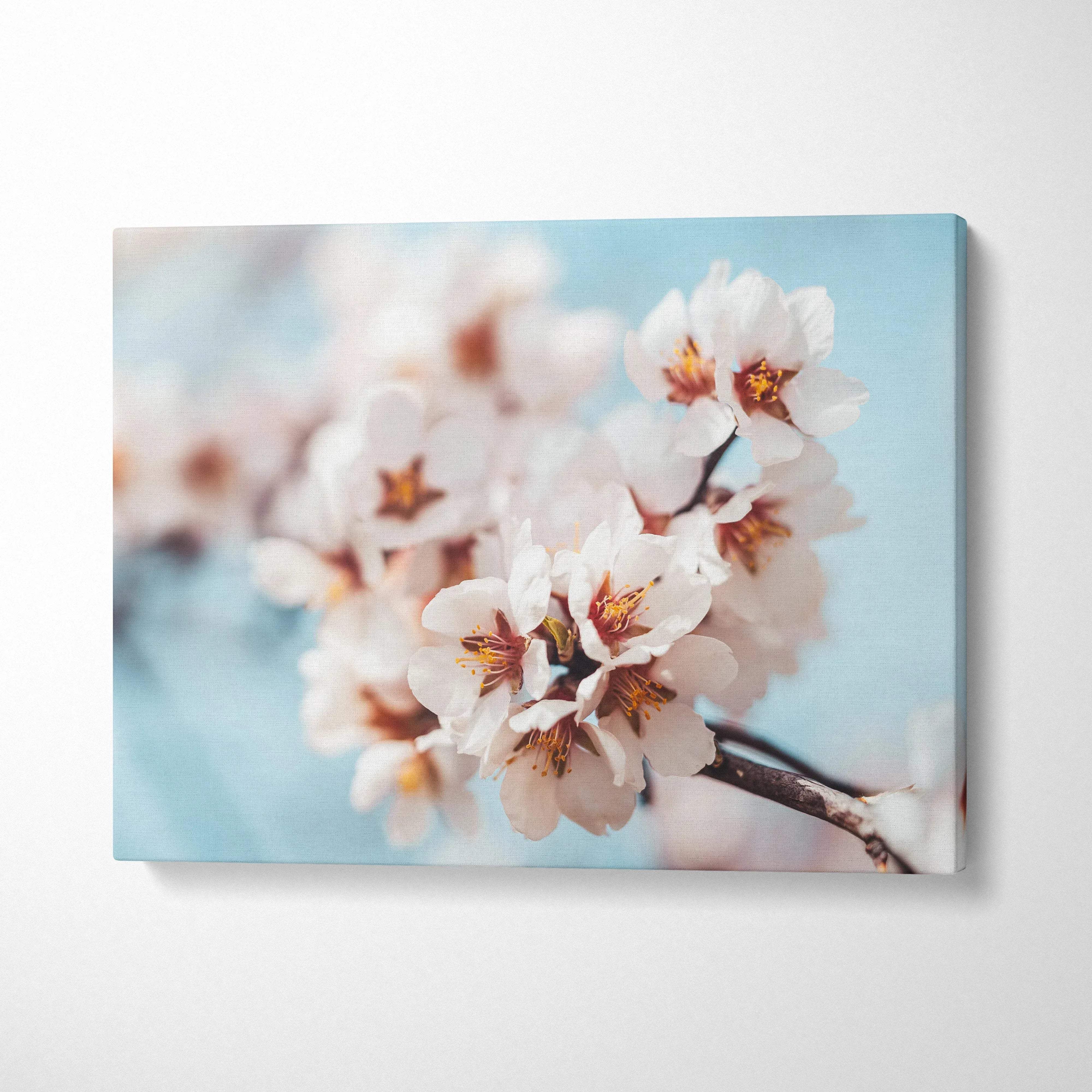 Canvas wall art featuring delicate white flowers with soft blue background for home decor.
