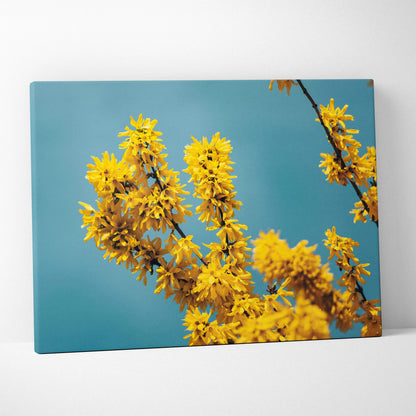 Yellow flowering branches against clear blue sky canvas wall art decor.