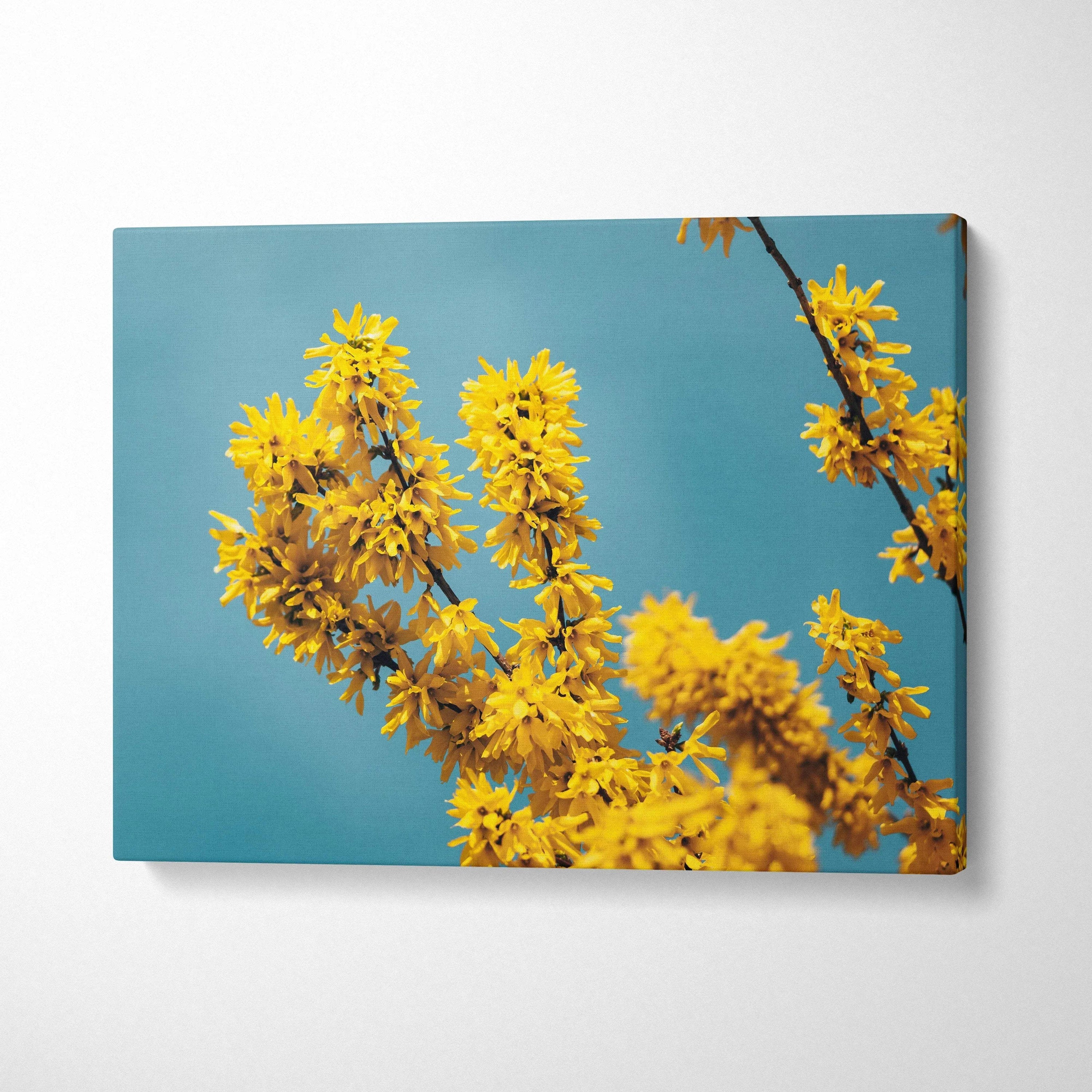 High-resolution canvas wall art featuring vibrant yellow blossoms against a clear blue sky for elegant decor.