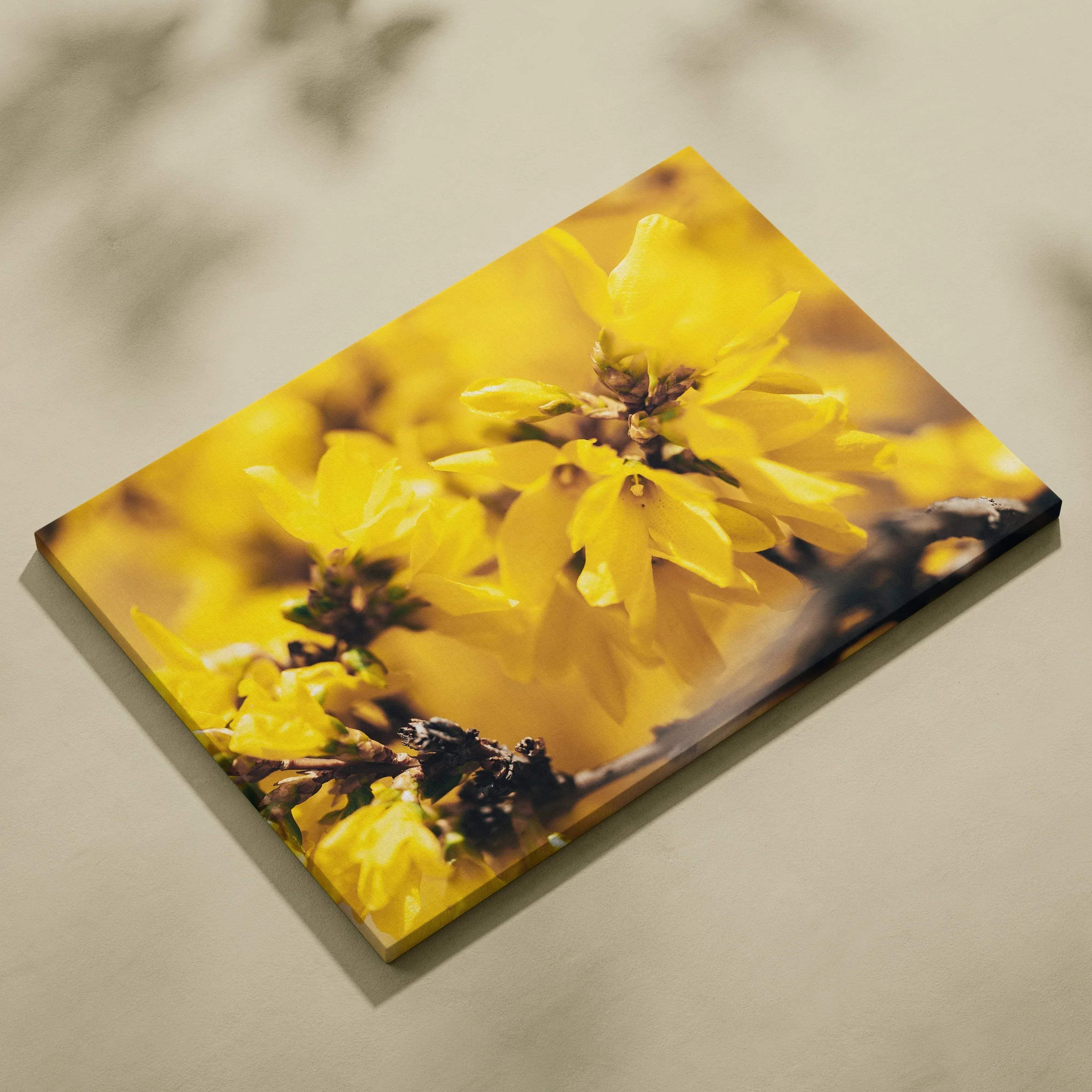 Canvas wall art featuring close-up yellow cherry blossom flowers with soft focus background, floral decor.