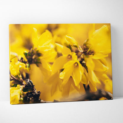 Canvas wall art featuring vibrant close-up yellow blossoms with detailed petals, perfect floral decor.