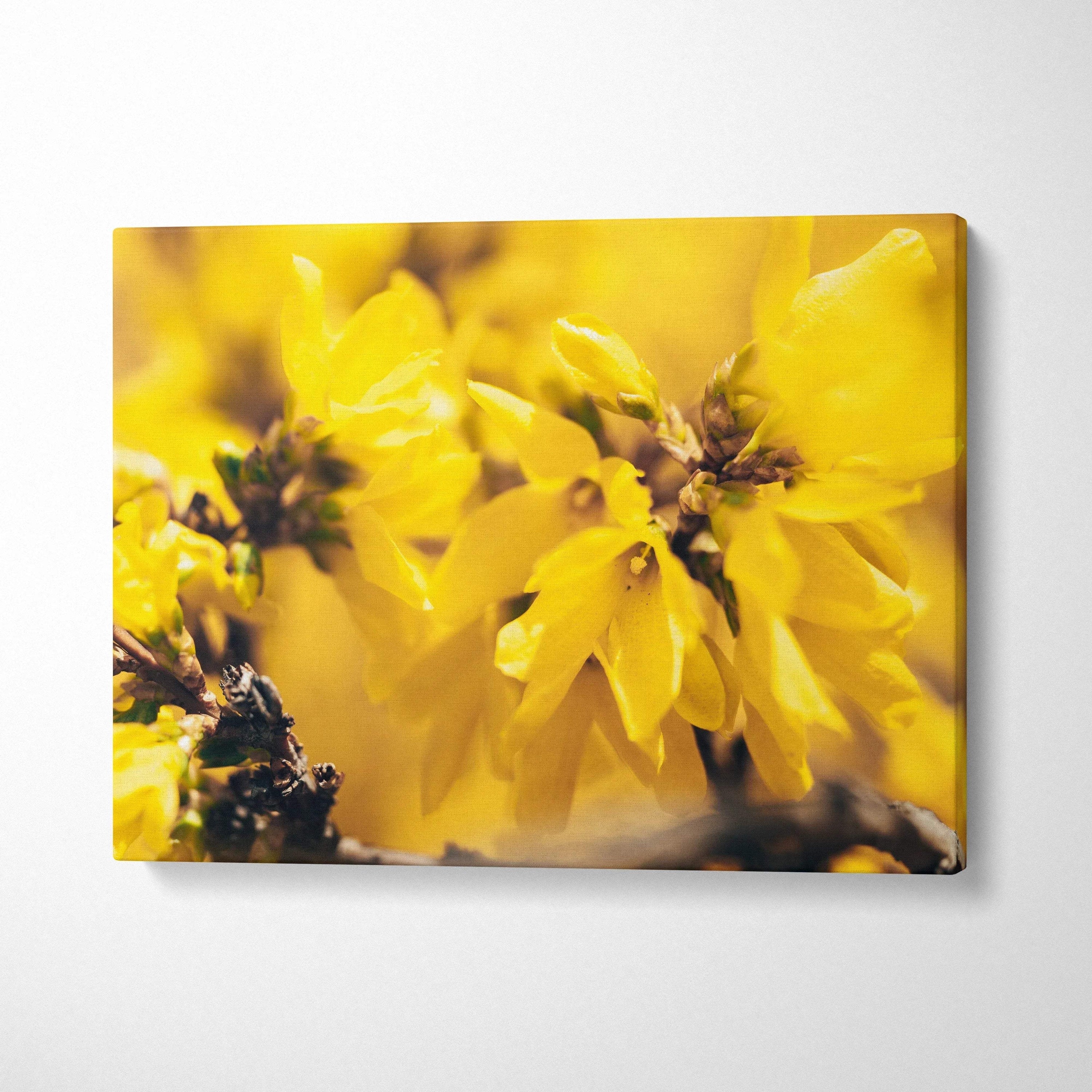 Yellow floral canvas wall art with close-up of blooming petals and delicate details decor.