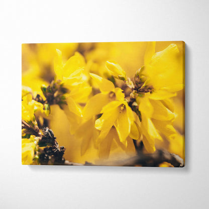 Yellow floral canvas wall art with close-up of blooming petals and delicate details decor.