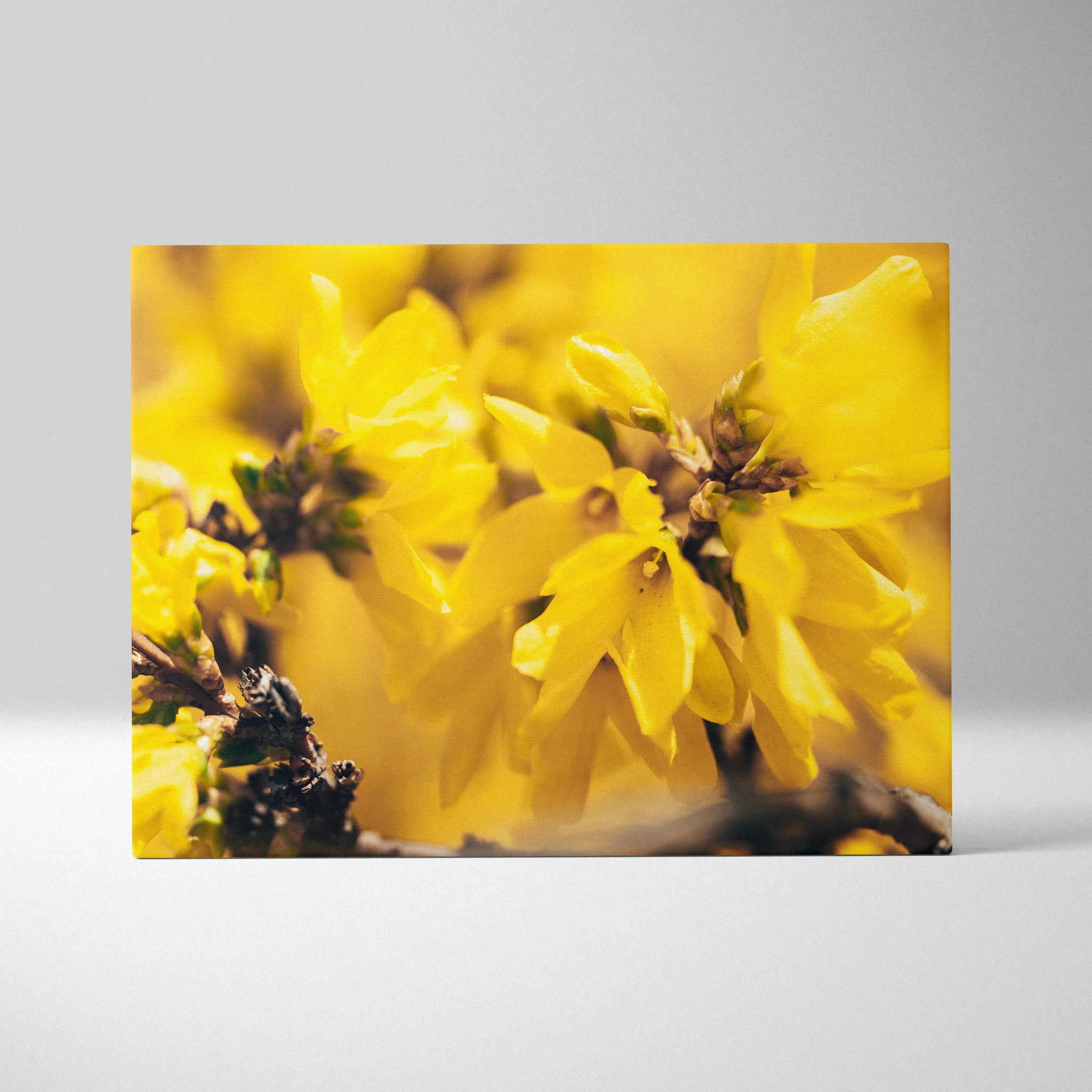 Bright yellow floral canvas wall art with detailed petals and dark centers, vibrant decor piece.