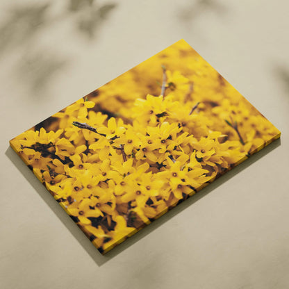 Yellow floral high-resolution canvas wall art with vibrant blossoms and detailed petals decor.