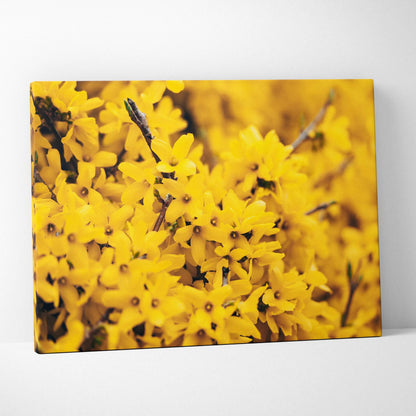 Yellow floral close-up canvas wall art decor with vivid bloom details.