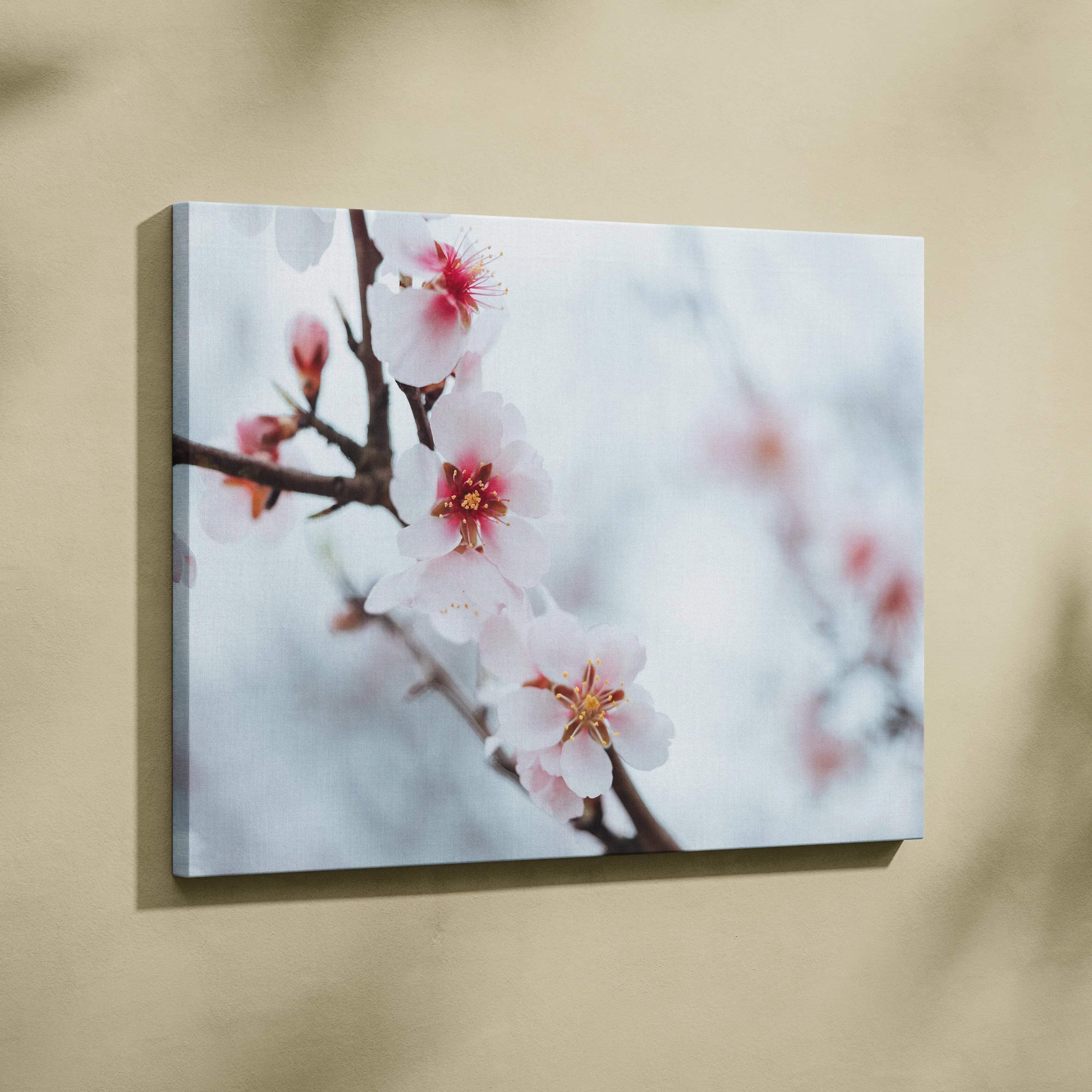 White flower floral canvas wall art with soft pink blossoms on blurred light blue background decor.