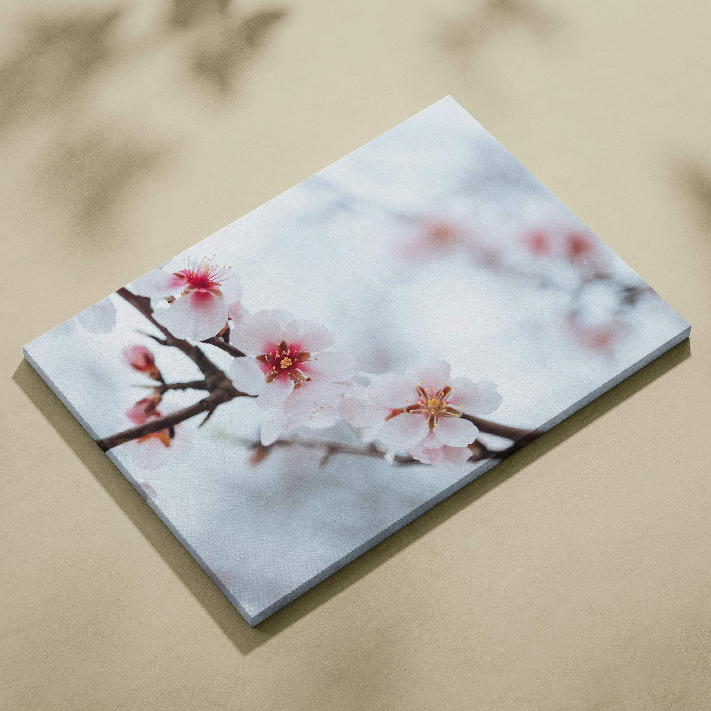 White flower close-up canvas wall art with soft pastel background decor.