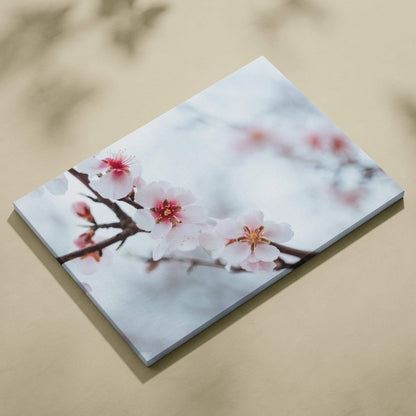 White flower close-up canvas wall art with soft pastel background decor.