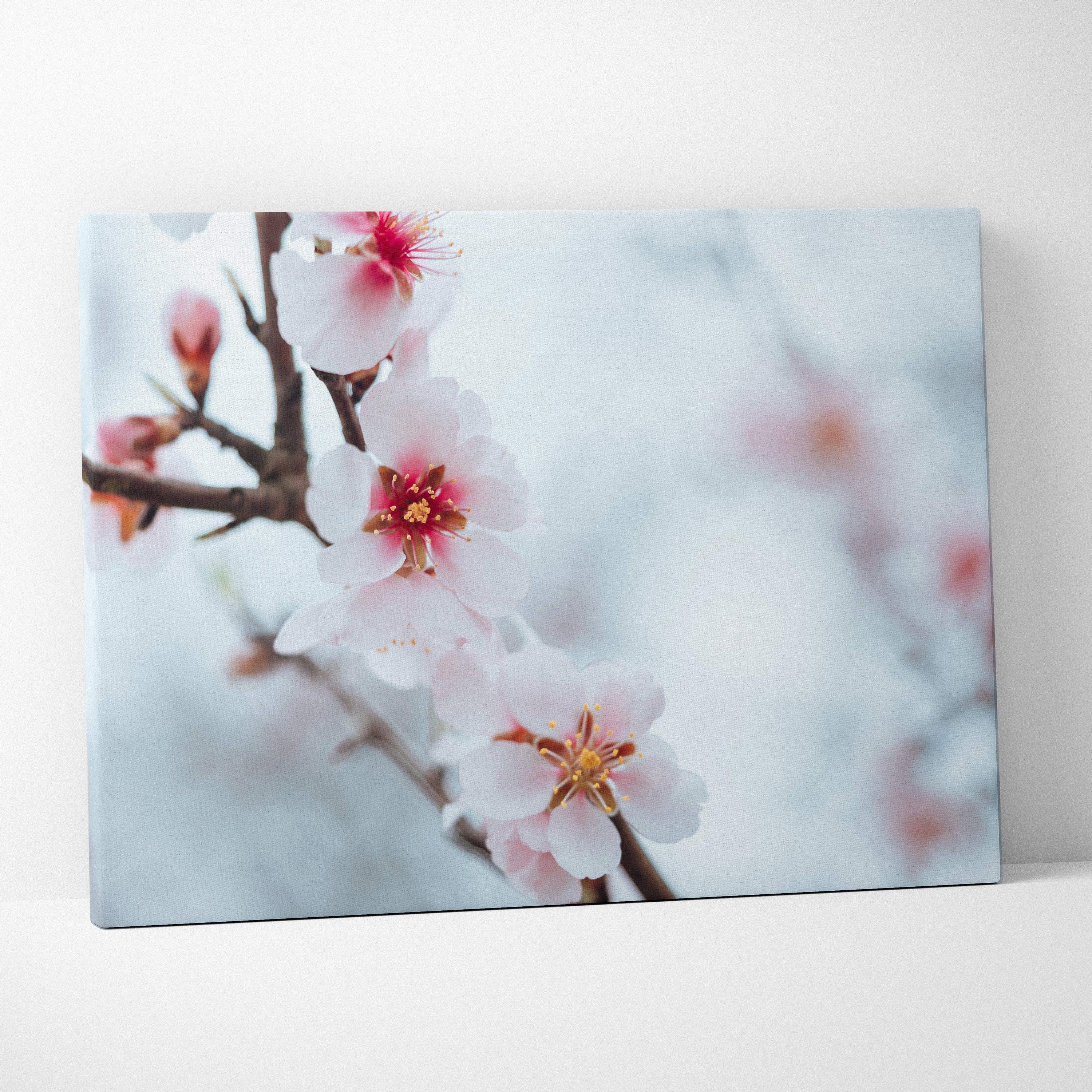 White flower close-up canvas wall art with soft blue blurred background decor.