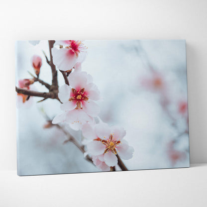 White flower close-up canvas wall art with soft blue blurred background decor.