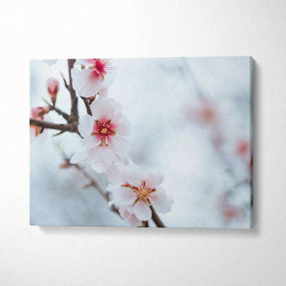 White flower floral canvas wall art with soft pastel background, perfect home decor.