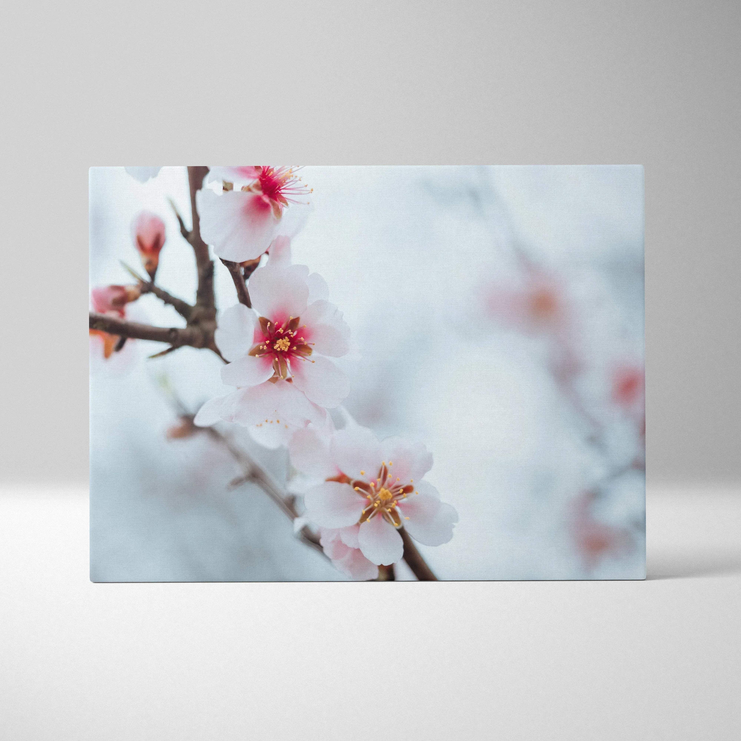 White flower close-up floral art on canvas wall decor with soft blue background.
