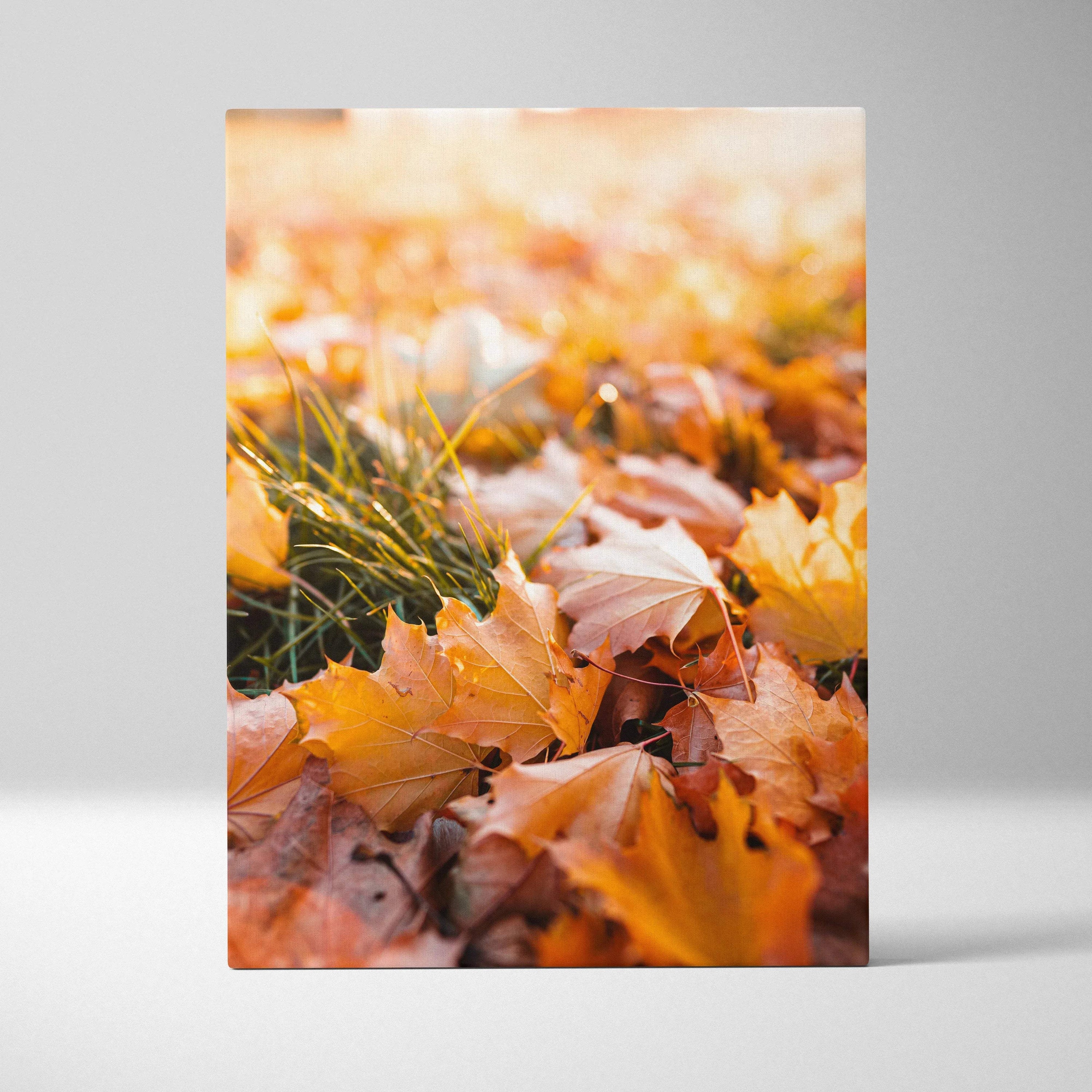 Canvas wall art depicting vibrant autumn leaves in warm orange and yellow tones on grass.