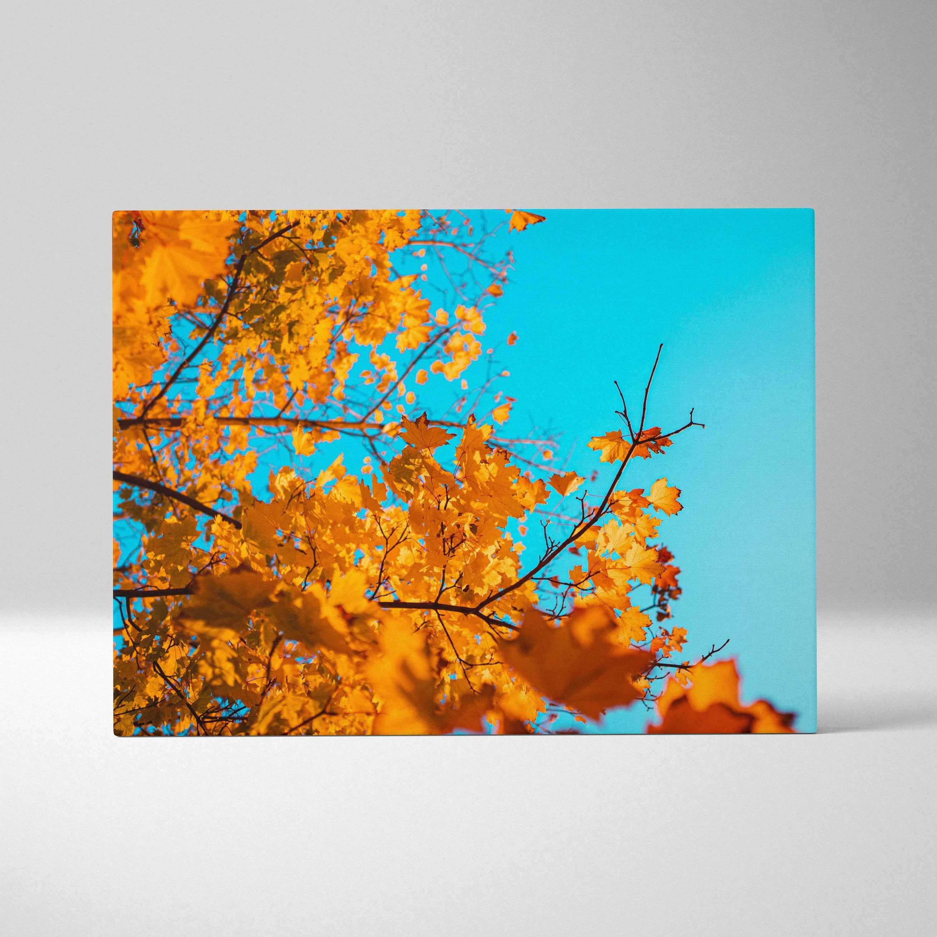 Canvas wall art featuring golden autumn leaves against a bright blue sky.