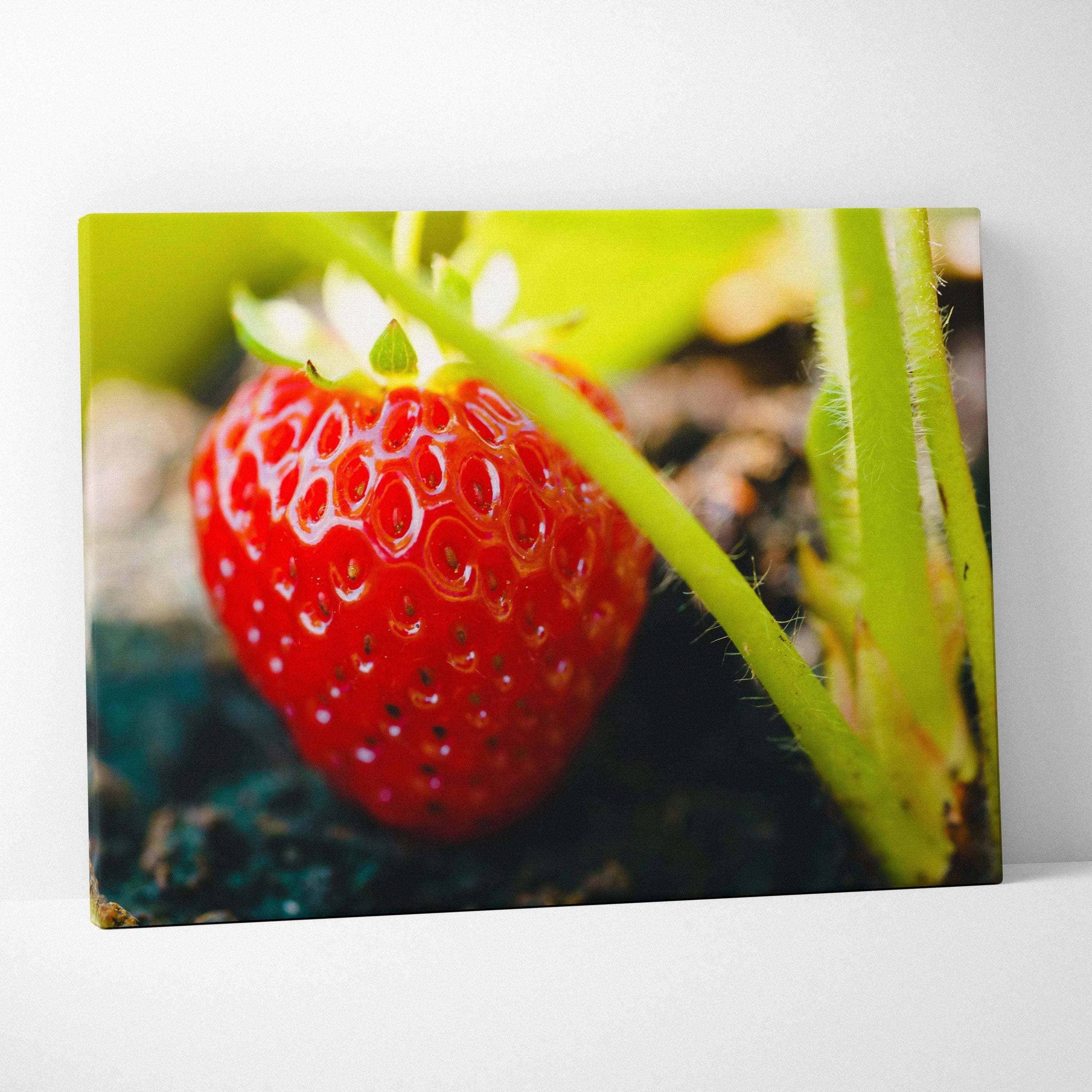 Vibrant red strawberry close-up on green stem canvas wall art decor with rich high-resolution detail.