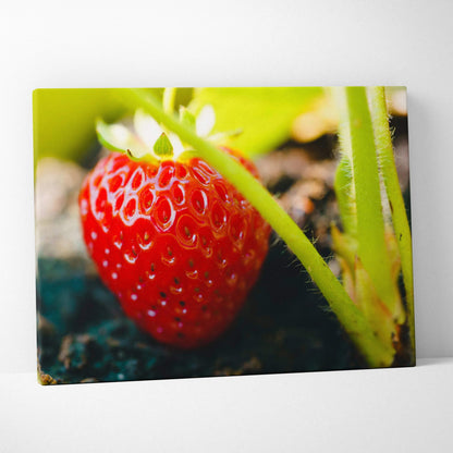 Vibrant red strawberry close-up on green stem canvas wall art decor with rich high-resolution detail.