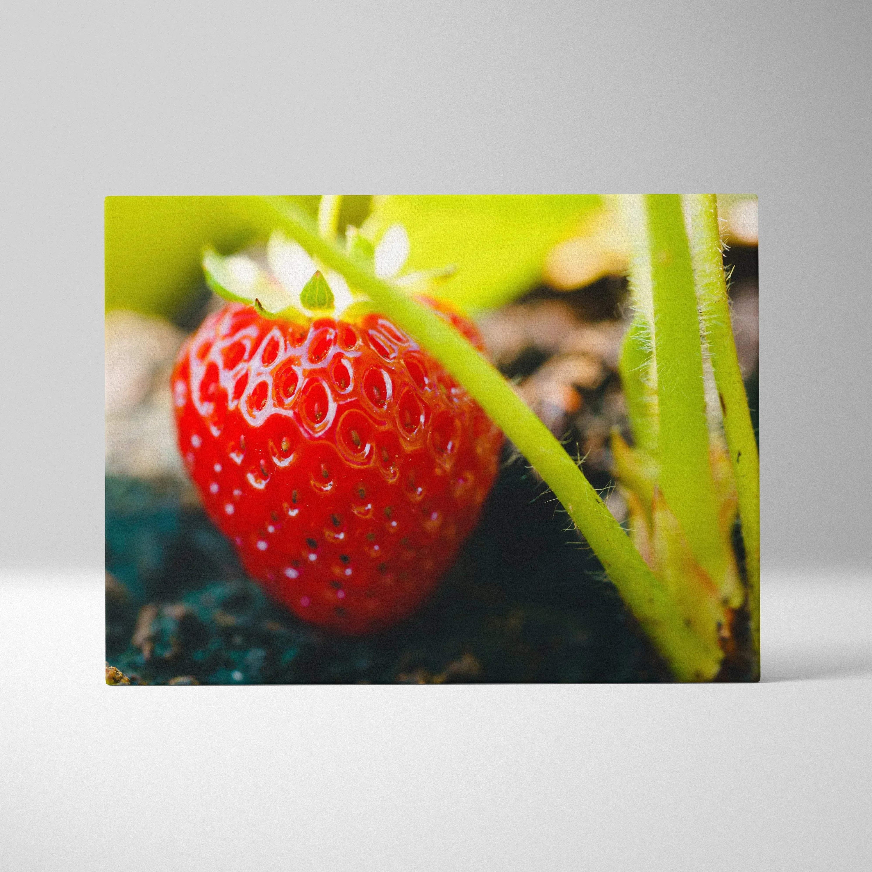 Vibrant canvas wall art featuring a close-up of a ripe red strawberry with green leaves, perfect fruit decor.